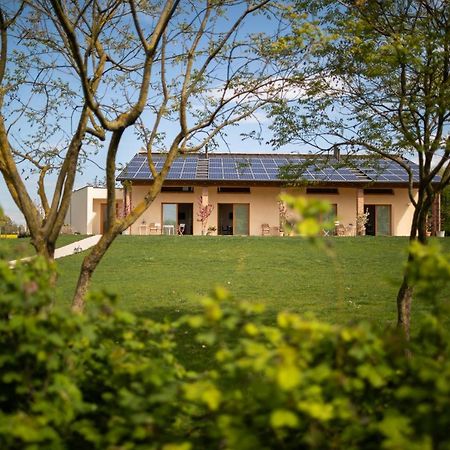 Agriturismo Casa Fiorindo Meolo Dış mekan fotoğraf