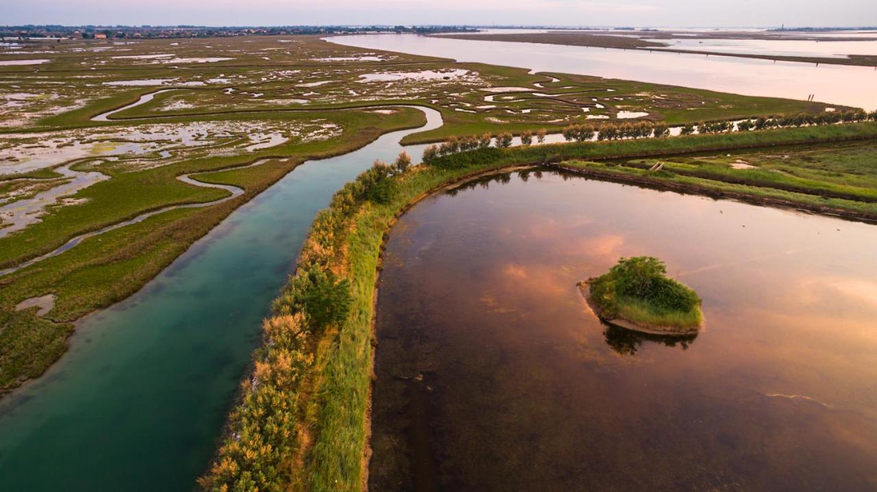 Agriturismo Casa Fiorindo Meolo Dış mekan fotoğraf