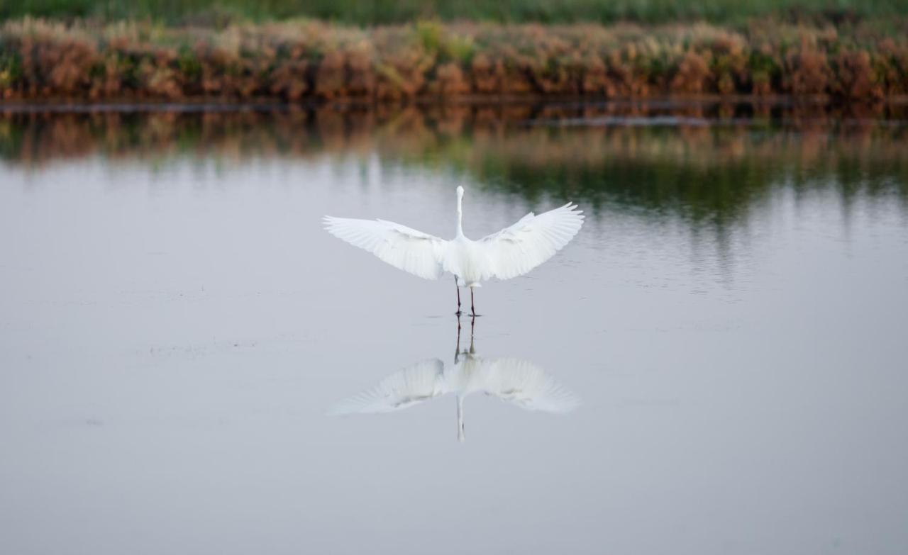 Agriturismo Casa Fiorindo Meolo Dış mekan fotoğraf